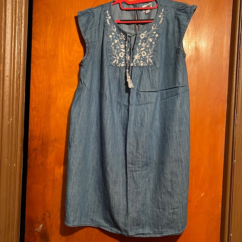Maternity Jean dress